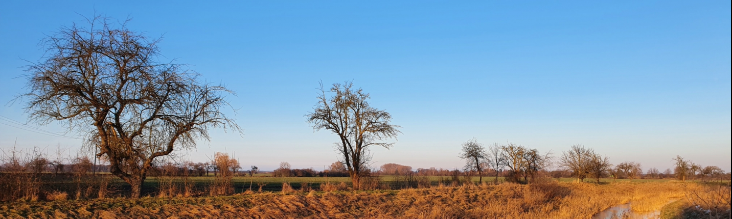 Obec Budiměřice - ilustrační foto - 1